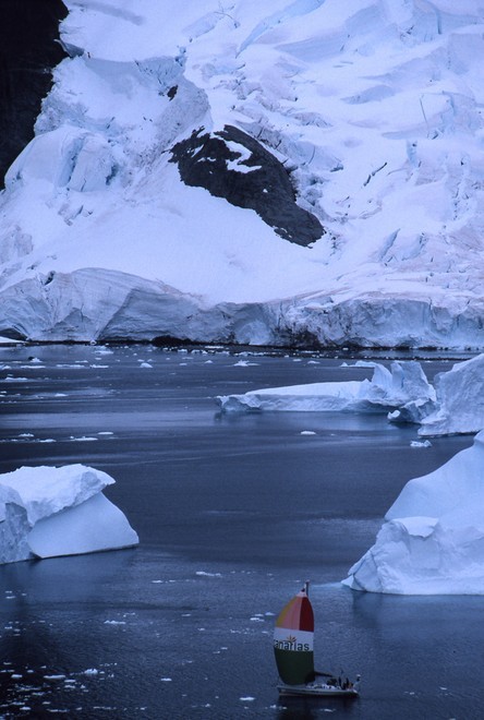 Aventura III sailing under spinnaker off Danco island in Antarctica © Jimmy Cornell Noonsite http://www.noonsite.com